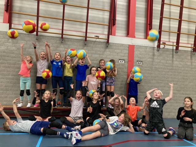 nieuwe ballen cmv2