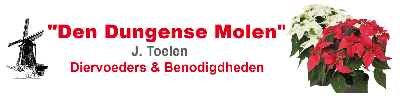 toelen ster